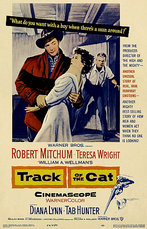 Track of the Cat (1954) poster
