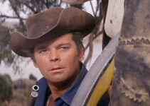 Russ Tamblyn as Johnny Ketchum, helping foil a stagecoach holdup attempt in Son of a Gunfighter (1965)