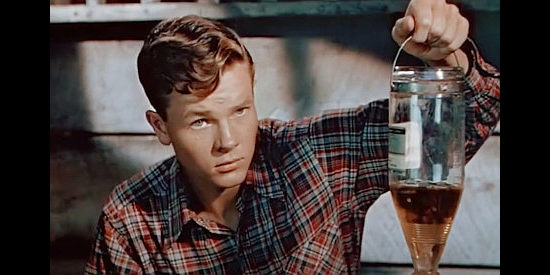 Robert Arthur as Kenny McLaughlin, trying to help nurse his prized horse Jewel back to health in Green Grass of Wyoming (1948)