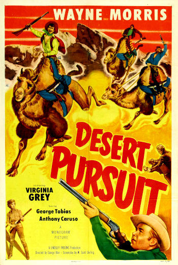 Desert Pursuit (1952) poster