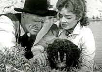 Louis Jean Heydt as Judge Ward Young and Julie Johnson (Arleen Wheelan) with her badly wounded husband in Raiders of Old California (1957)