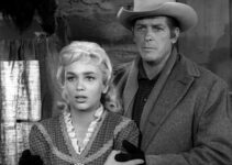Joan Staley as Norah Blaine and James Brown as Wayne Santley, confronted by Brad's angry brother in Gun Fight (1961)