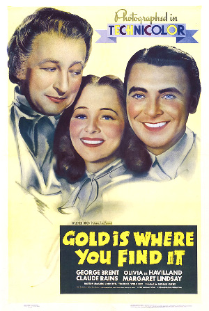 Gold is Where You Find It (1938) poster 