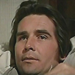 James Brolin as John Blane in Westworld (1973)