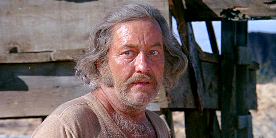 Strother Martin as Bowen, one of the partners who abandoned Cable in the desert in The Ballad of Cable Hogue (1970)