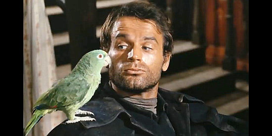 Terence Hill as Django, confiding in a parrot in Django Prepare a Coffin (1968)