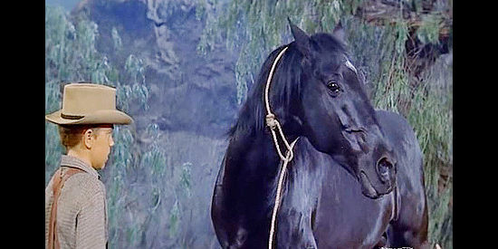 Jerry Hartleben as Bucky Morse, approaching Black Lightning, the stallion worth $500 in King of the Wild Stallions (1959)