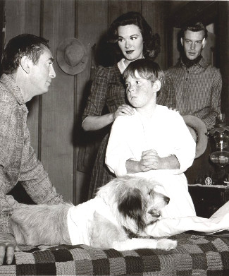 Macdonald Carey as Hollis Jarret with Stephen Wootton as Dodie Jarret, Patricia Medina as Peg Jarret and Skip Homeier as Clay Anderson in Stranger at My Door (1956)