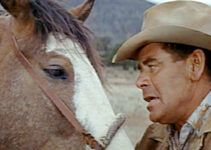 Glenn Ford as Ben Jones, fed up with a misbehaving roan in The Rounders (1965)