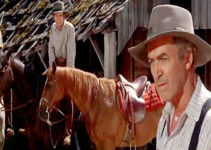 James Stewart as Charlie Anderson, wondering what to do with dead soldiers on his land in Shenandoah (1965)