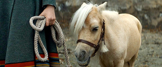 Butterscotch, the wedding present in Damsel (2018)