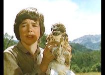 Lee Montgomery as Billy Baker with the hawk he saves, then trains in Baker's Hawk (1976)