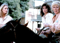 Stella Stevens as Nellie Wilder with daughters Sarah (Donna Dixon) and Brianne (Terri Garber) in No Man's Land (1984)