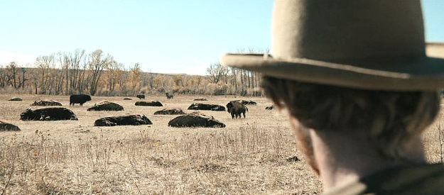 Fred Hechinger as Will Andrews, looking out over a field of dead buffalo his partner has killed in Butcher's Crossing (2022)