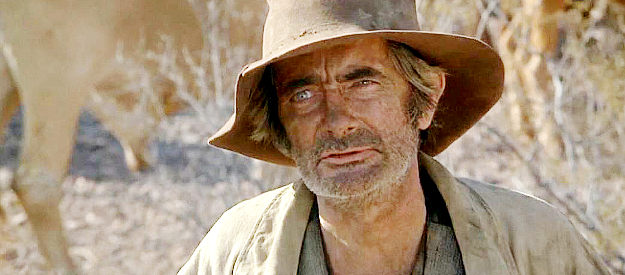 Royal Dano as leader of the first group of rustlers to try to plunder Frank Culpepper's herd in The Culpepper Cattle Co. (1972)