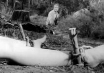 Richard Thies as Buford awakes to a reminder of the atrocity he and his colleagues committed in The Talisman (1966)