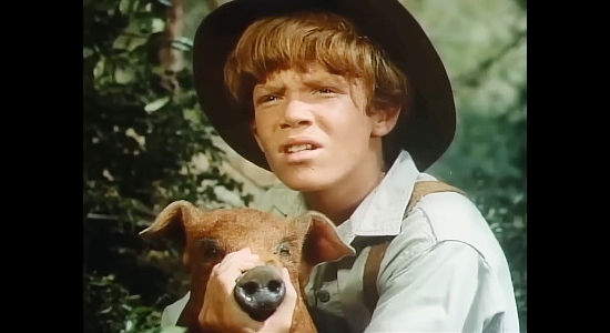 Mitch Vogel as Jamie McIver, quieting his pet pig blossom when a panther shows up in Menace on the Mountain (1970)